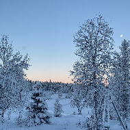Informasjon